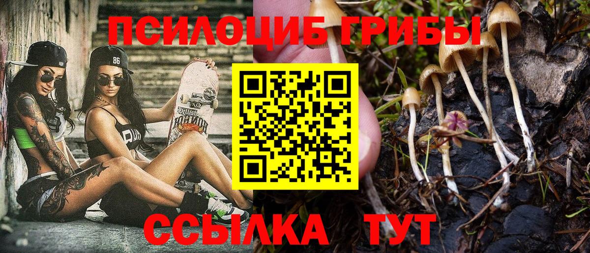 Ивантеевка  Псилоцибиновые грибы ЛСД  Псилоцибиновые грибы Psilocybine cubensis  Вход с VPN 